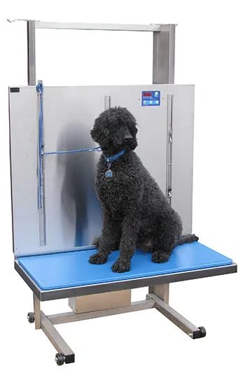 Elsam Classic lift table
